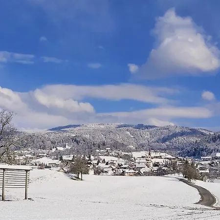 펜션 Alpska Hisa Bled