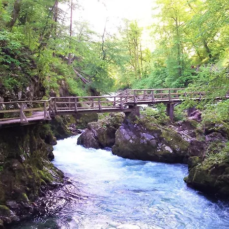 Alpska Hisa Bled زغورنجي