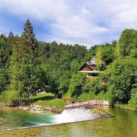 펜션 Alpska Hisa Bled