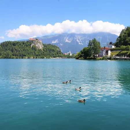 Alpska Hisa Bled بيت للعطل *