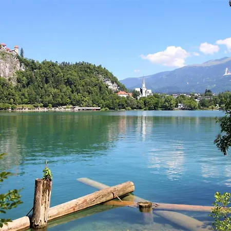Alpska Hisa Bled 펜션