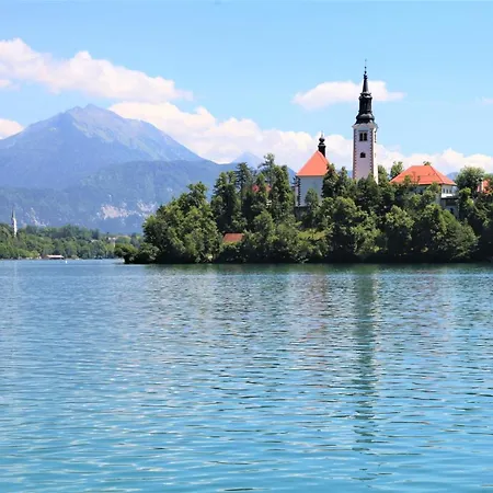 펜션 Alpska Hisa Bled