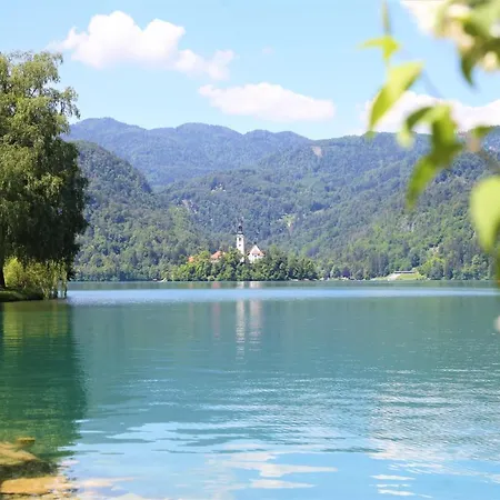 بيت للعطل Alpska Hisa Bled